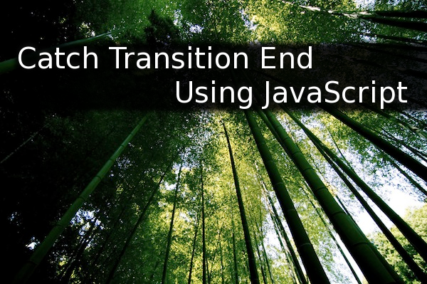 Cache Transition End Using JavaScript