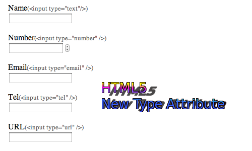 HTML5 New Input Type