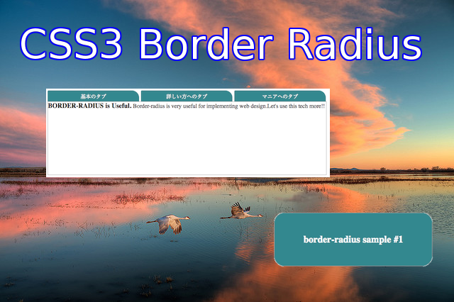 Border Radius Image