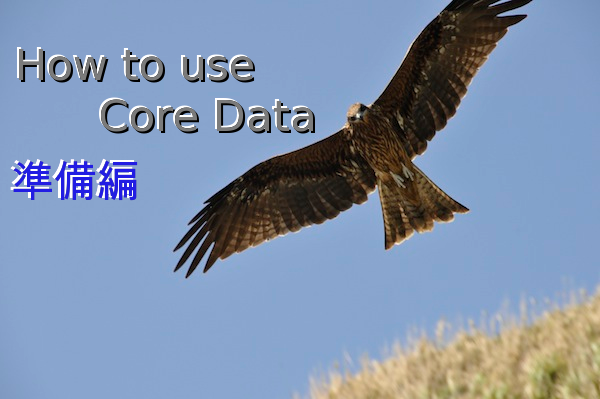 How to use CoreData