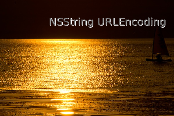 NSString URLEncoding