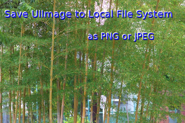 Save UIImage to Local File System