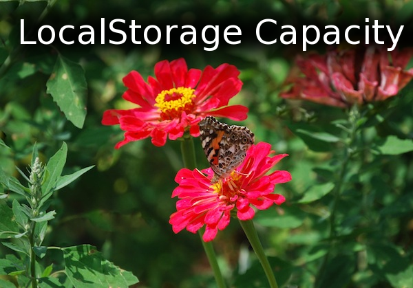 LocalStorage Capacity